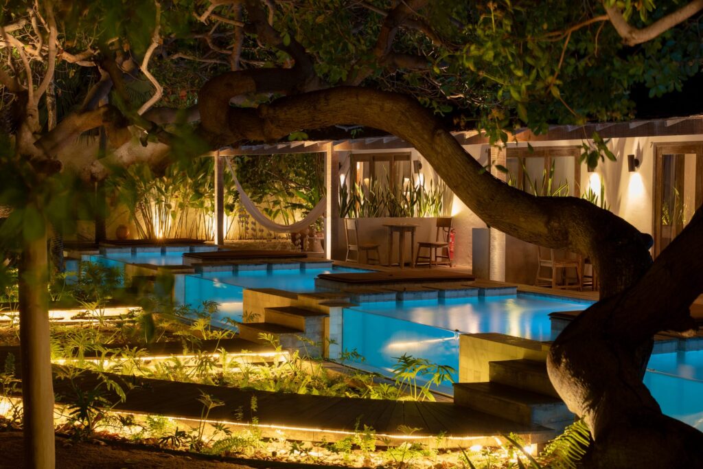 Piscina sob a árvore centenária junto ao bar ao entardecer
